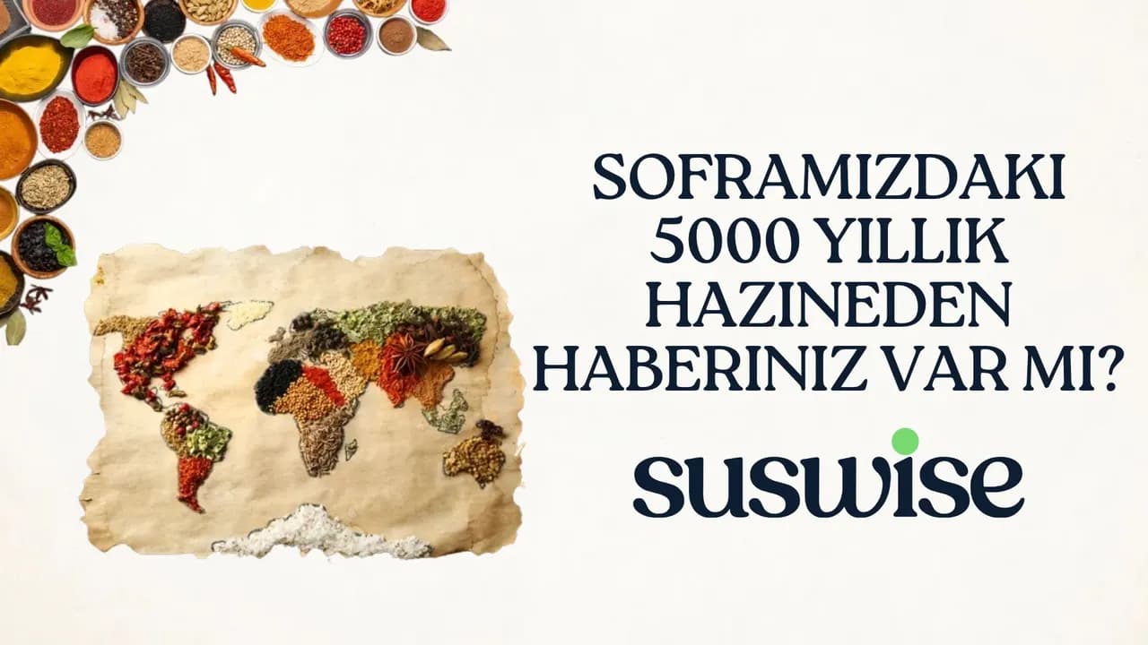 Tarihin Altın Tohumu: Mezopotamya'dan Hititlere ve Osmanlı Sofralarına Susamın Büyülü Yolculuğu