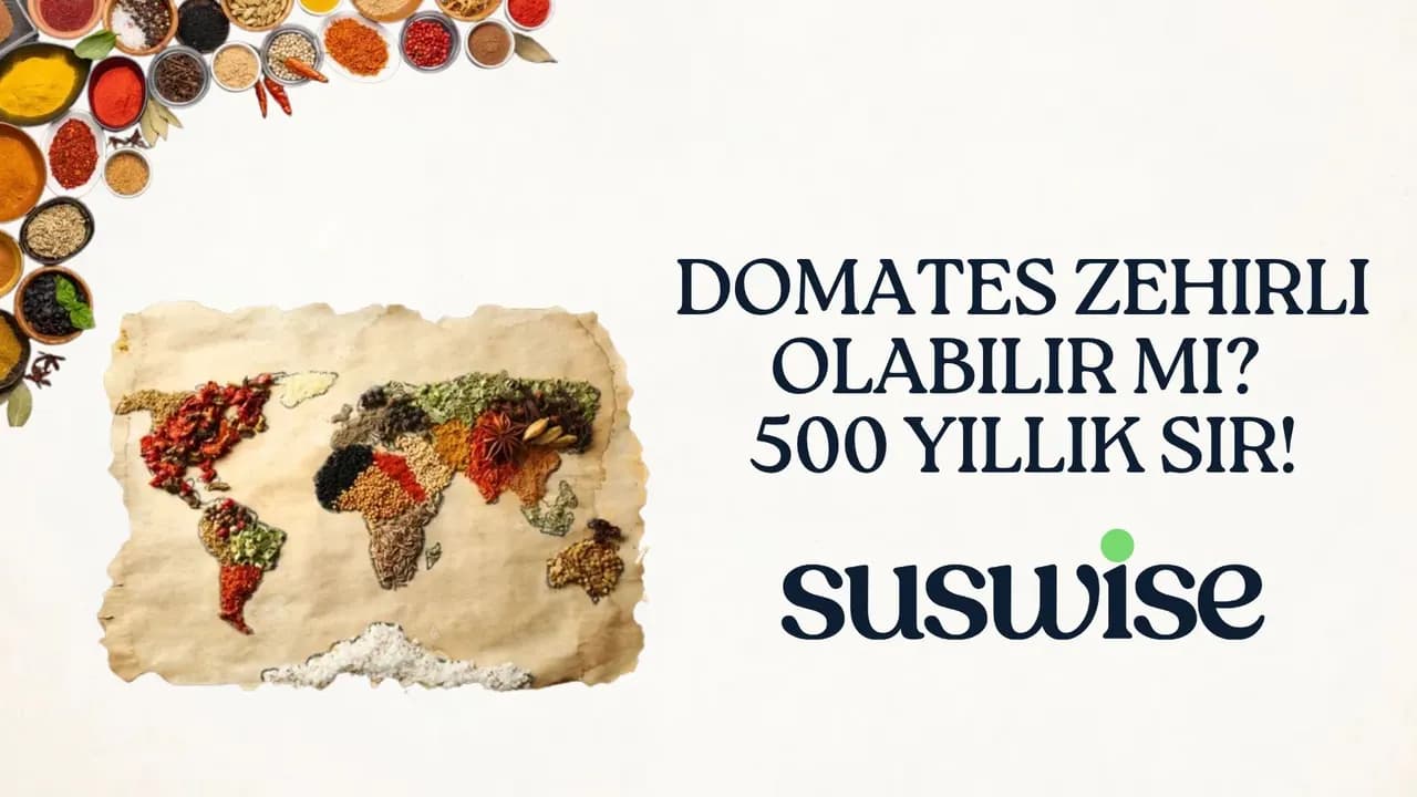 Vahşi Dağlardan Sofralara: Domatesin Dünyayı Değiştiren Tarihsel Yolculuğu
